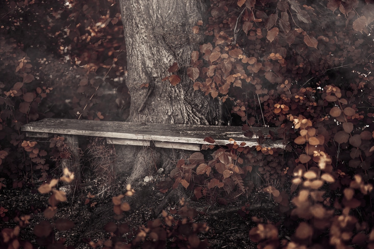 Unveiling the Mysteries of Shattered Isles